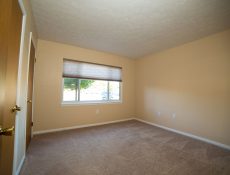 Empty master bedroom with a large open window and darker carpets